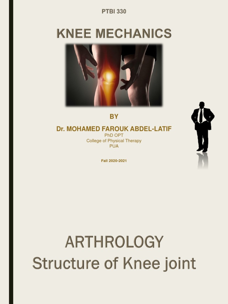 Knee Mechanics PDF Knee Anatomical Terms Of Motion