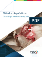 059 Métodos Diagnósticos Equidos