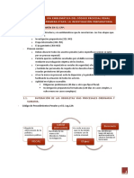 Resumen El Proceso Común