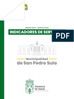 Indicadores de Servicios de Salud de La Municipalidad de San Pedro Sula by Josué Cover