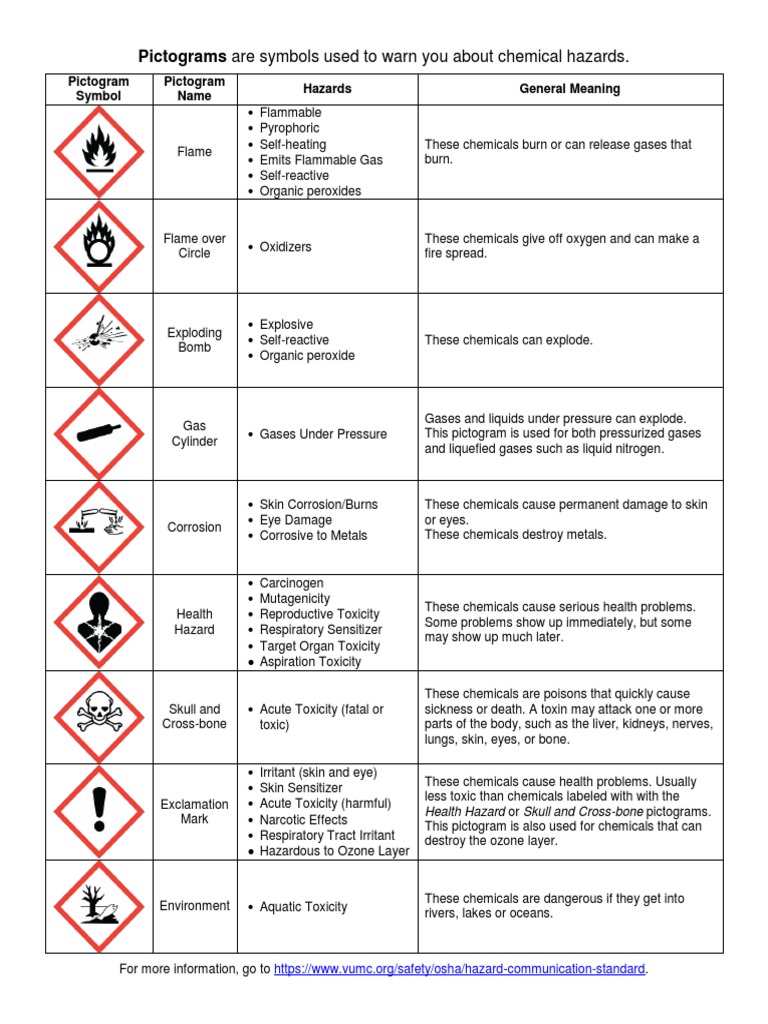What Pictograms Mean | PDF