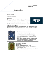 Ascaris Lumbricoides Manual - LISTO