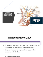Nervio Trigémino 2021-Plataforma