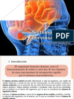 Tema 3.2 Anatomofisiología y Patología Básicas (AAO)