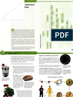 Manual Esencial Santillana. Biologia I 5 13