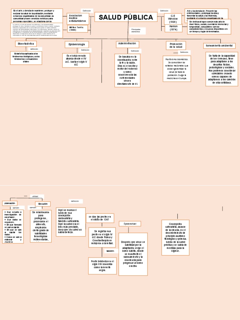 Mapa Conceptual De La Salud Publica 3 Pdf
