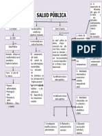 Mapa-conceptual-de-la-Salud-Publica-4