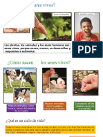 Ciencias PDF Ciclos de Vida