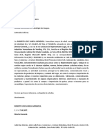 Carta Explicativa de Actividad IVV