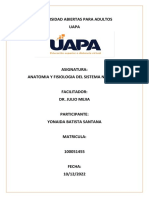 Trabajo Final Anatomia