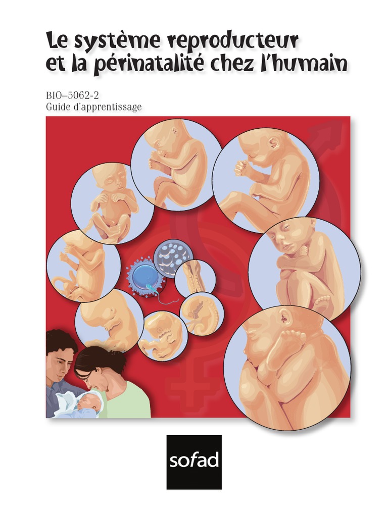 Le Système Reproducteur Et La Périnatalité Chez L'humain: BIO-5062-2 ...