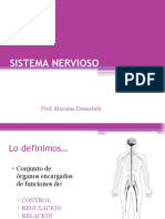 Sistema Nervioso - Clase 2021