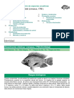 1.2.1 Ficha FAO Oreochromis Niloticus