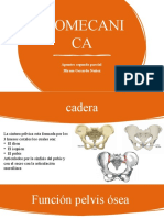 Bio Mecanic A