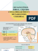 Flujo Sanguíneo Cerebral, Líquido Cefalorraquídeo y Metabolismo Cerebral