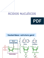 Biologia Celular Aula Estrutura DNA