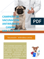 Vacunacion Canina 
