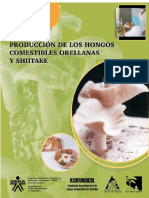 Hongos Comestibles Orellanas Shiitake