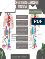 CIRCULACIóN FETAL Y POSTNATAL