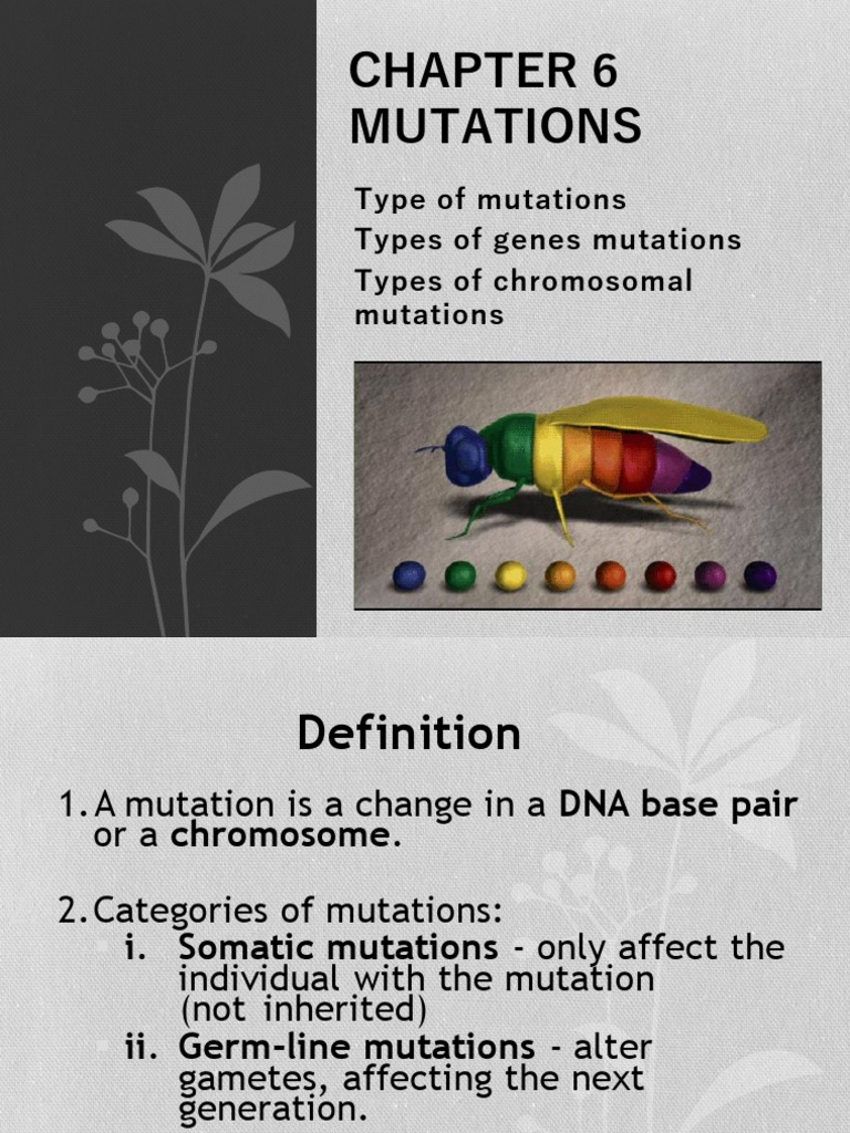 Mutations In Humans Pdf – QIZR