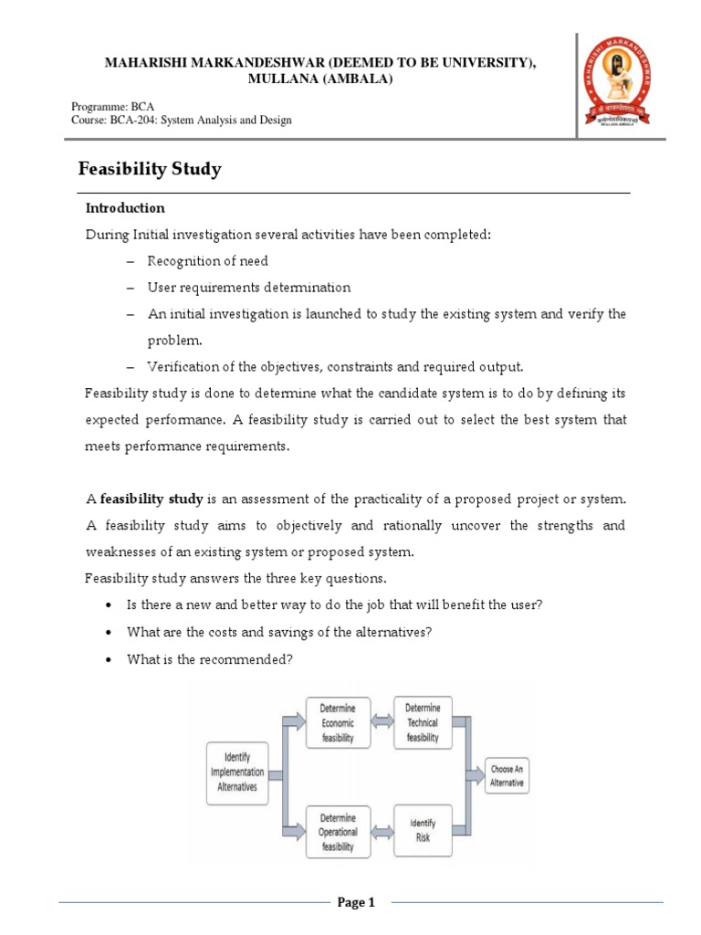 Economic Feasibility Study Overview | PDF | Feasibility Study | Computing