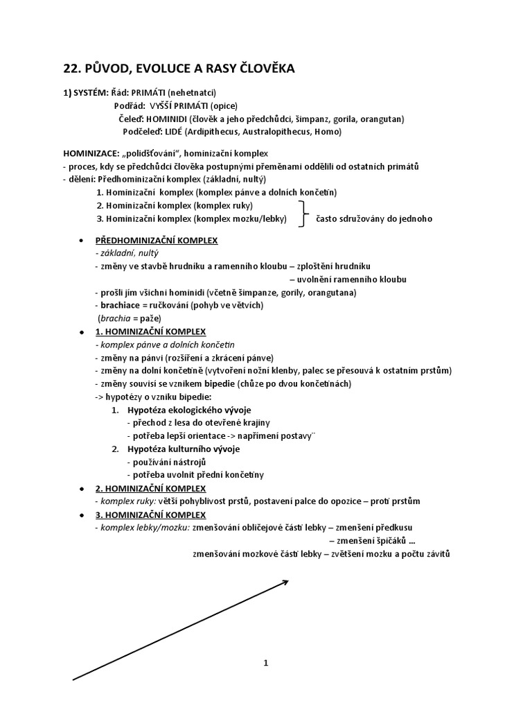 Bi22 Puvod Evoluce Rasy Cloveka | PDF