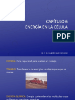 Tema 6. Flujo de Energía en La Célula