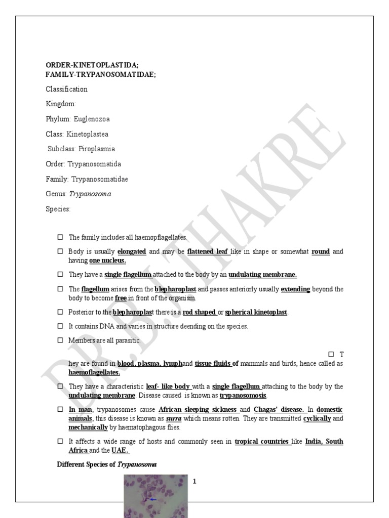 Trypanosoma Evansi PDF