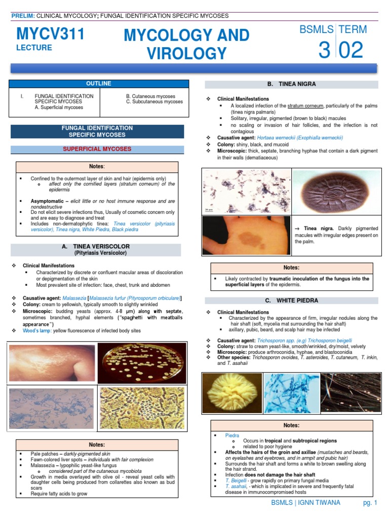 Mycology and Virology MYCV311: Bsmls Term | PDF | Organisms | Diseases ...