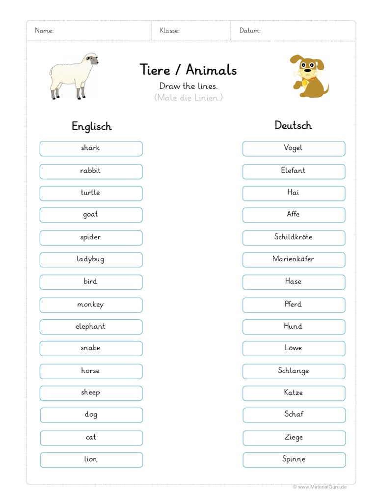 Arbeitsblatt Englisch Tiere Verbinden | PDF