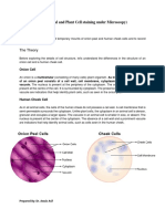 Animal and Plant Cell Staining Practical