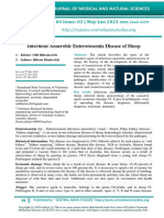 Infectious Anaerobic Enterotoxemia Disease of Sheep