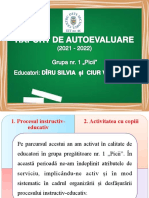 Raport de Autoevaluare A Cadrului Didactic