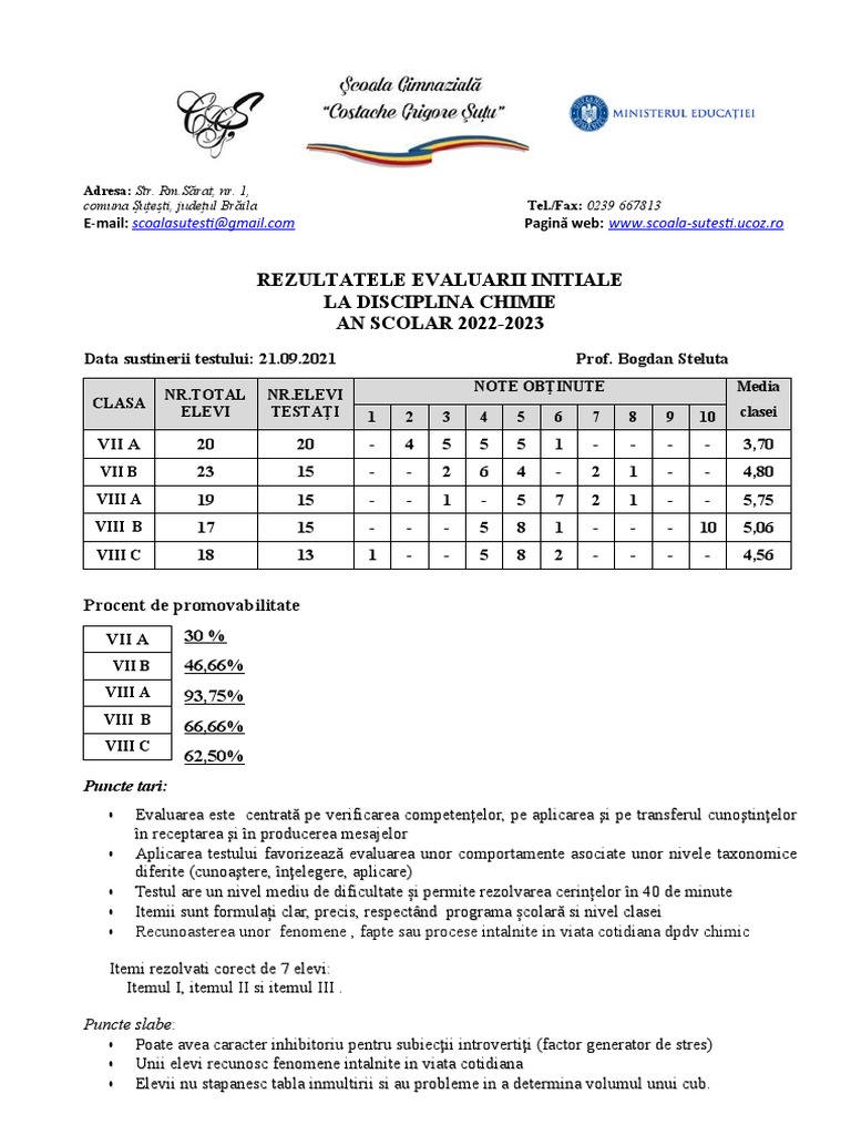 Interpretare Test Initial | PDF