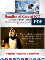 Bundles of Care at Icu