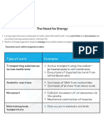 Energy and Respiration Notes