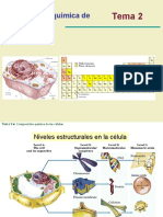 Tema2 Comp Quimica Celula