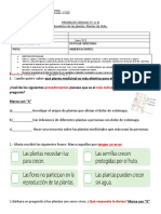  PRUEBA DE CIENCIAS 3ºcoordenadas