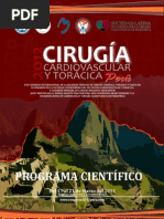 Download Programa Preliminar Congresos 2012 Per  by Sociedad Peruana de Ciruga Cardaca Torcica y Vascular SN66765719 doc pdf