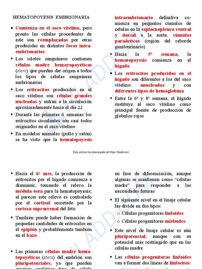 hematopoyesis-pdf-hematopoyesis-sangre