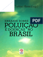 Ensaios sobre poluição e doenças no Brasil