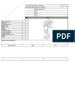 Formato de Inspección de Canguro