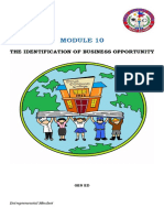 Module 10. The Identification of Business Opportunity