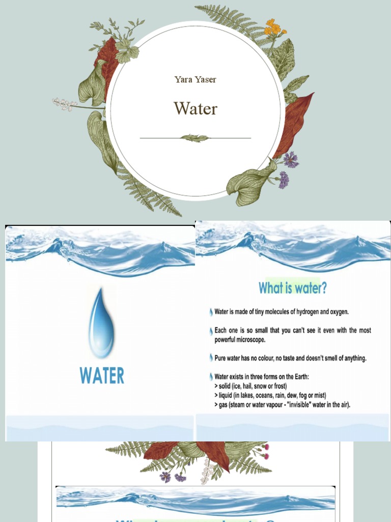 Water | PDF