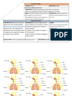 Respiración y Sistema Respiratorio