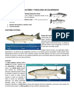 Anatomia y Fisiologia de Salmonidos