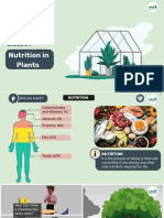 G7 - Nutrition in Plants