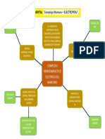 Mapa Mental Complejo Mantaro