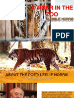 A Tiger in The Zoo