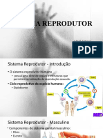 Sistema Reprodutor - Med
